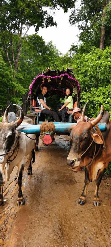 Traditional Village Experience & Bullock Cart