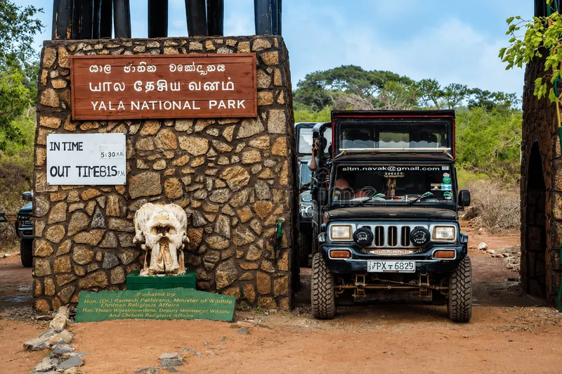 Yala National Park 4x4 Jeep Safari